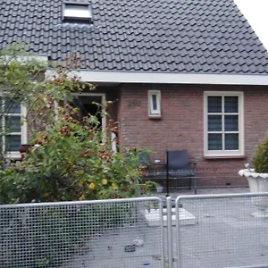 Dendolili Amsterdam